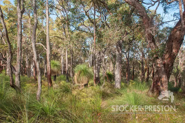 Fourth view of Homely land listing, 41 Balmoral Drive, Quindalup WA 6281