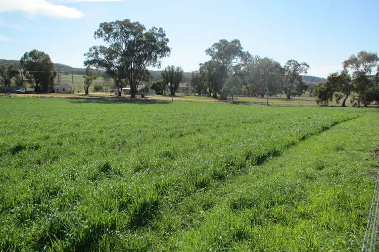 Fourth view of Homely rural property listing, "Uliman" Purlewaugh Rd, Coonabarabran NSW 2357