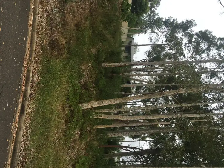 Second view of Homely land listing, 14 Ibis Place, Catalina NSW 2536