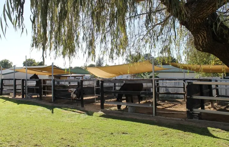 Third view of Homely house listing, 12 Cameron Street, Inverell NSW 2360