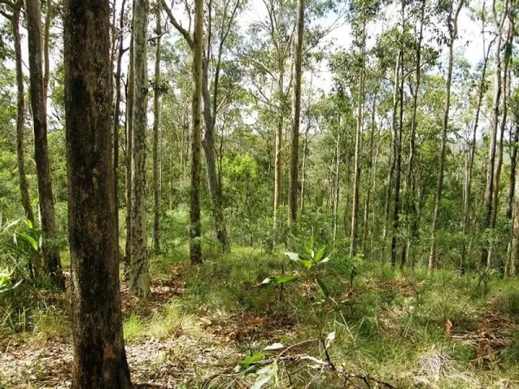 Seventh view of Homely rural property listing, 2541 Gwydir Highway, Ramornie NSW 2460