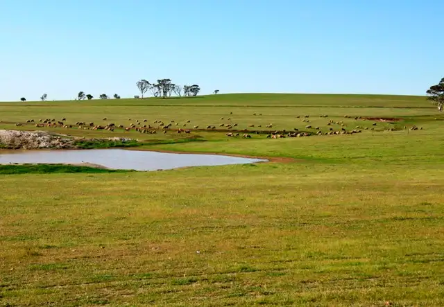 Second view of Homely rural property listing, Lot 5673 Hammonds Hill Road, Quairading WA 6383