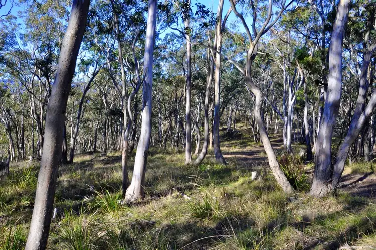 Fourth view of Homely land listing, Lot 3 Maxwell Drive via Jenolan Caves Rd, Hartley NSW 2790