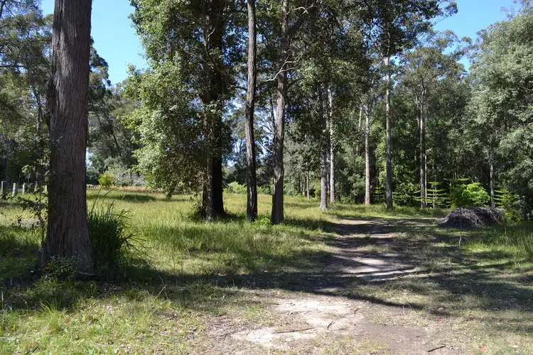 Fifth view of Homely rural property listing, 79 Willowford Road, Woollamia NSW 2540