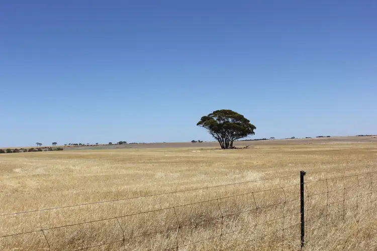 Seventh view of Homely rural property listing, Lot 20871 Berring Road, Goomalling WA 6460