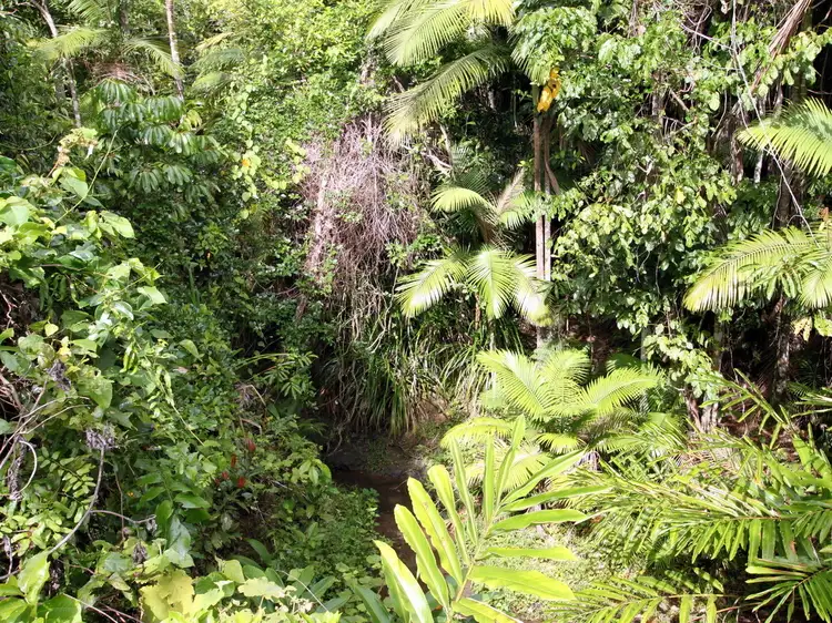 Sixth view of Homely rural property listing, LOT 2 WALTER LEVER ESTATE ROAD, Japoonvale QLD 4856