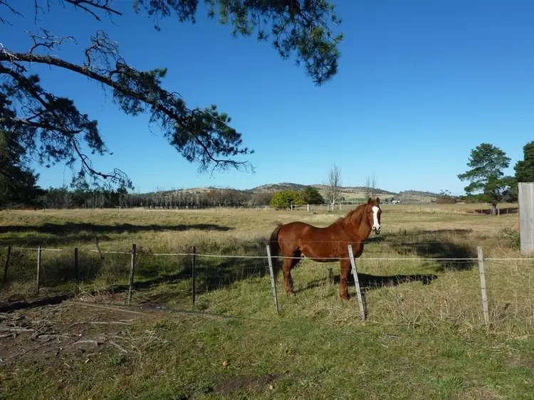 Fourth view of Homely rural property listing, 2981 Tasman Highway, Orielton TAS 7172