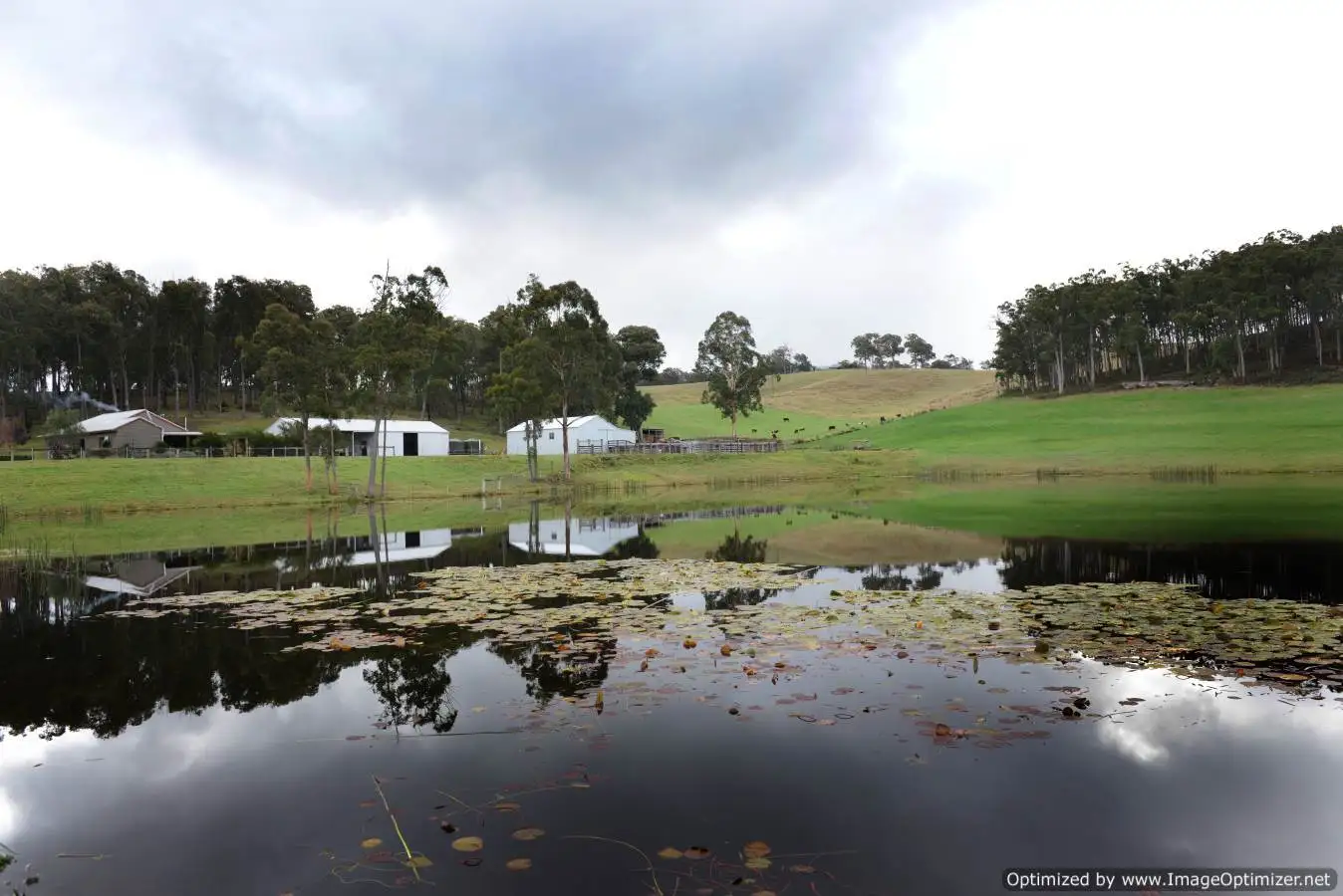 Main view of Homely rural property listing, 560 Orrs Road, Clifton Creek VIC 3875