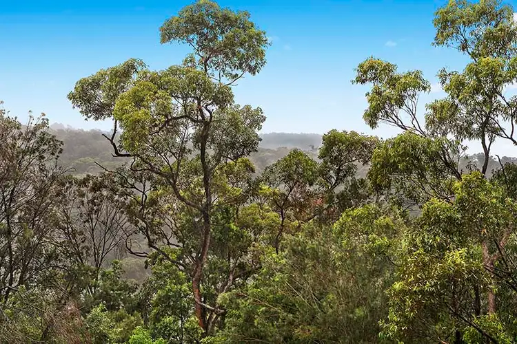 49 Kimberley St, East Killara NSW 2071