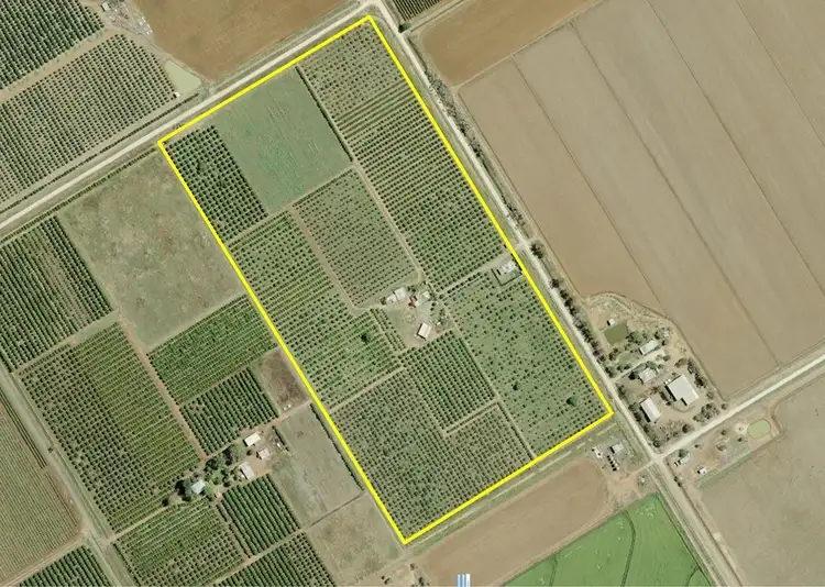 Farm 233 Ross Road, Yoogali NSW 2680