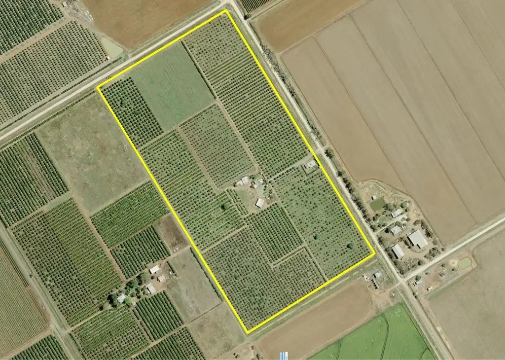 Main view of Homely rural property listing, Farm 233 Ross Road, Yoogali NSW 2680