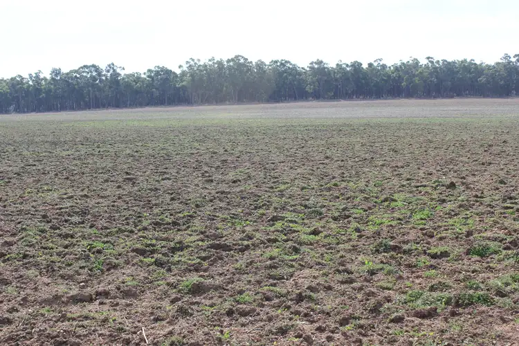 Third view of Homely rural property listing, Lot 819 Halsey Road, Mount Barker WA 6324