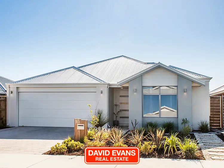 16 Catlidge Street