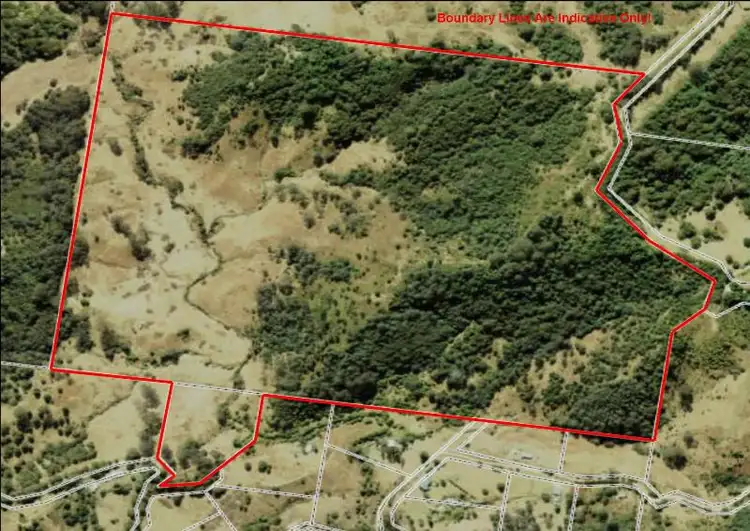 Main view of Homely rural property listing, 207 Tilbaroo Road, Elands NSW 2429