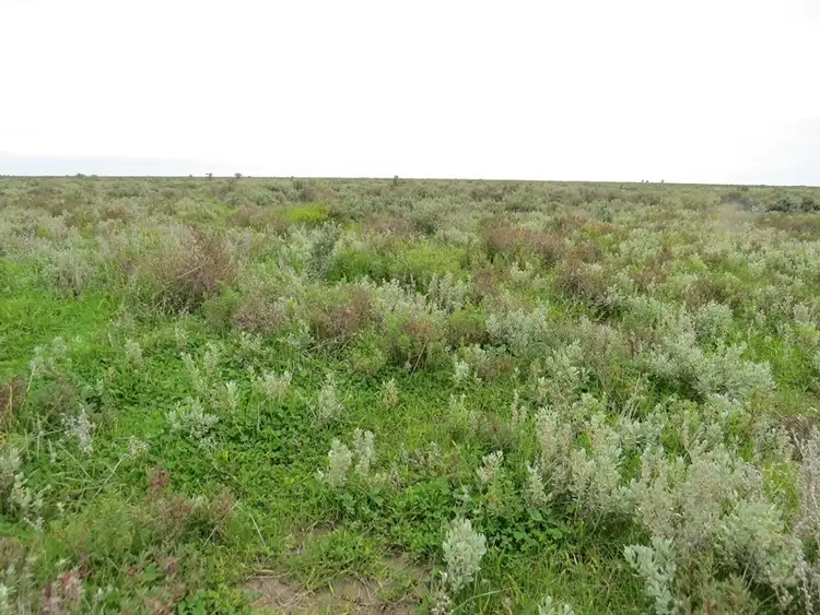 Third view of Homely rural property listing, - Thelangerin Road, Hay NSW 2711