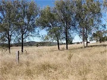 Main view of Homely land listing, Lot 20 Mill Street, Nanango QLD 4615