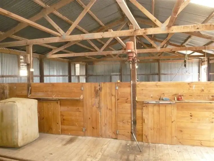 Fourth view of Homely rural property listing, 146 Pascoe Road, Coonalpyn SA 5265