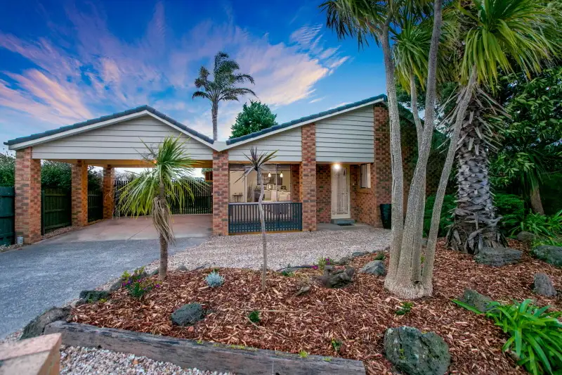 Main view of Homely house listing, 19 Mount Erin Crescent, Frankston South VIC 3199