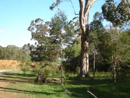 12 (Lot 129) Tall Trees Court, Cowaramup WA 6284