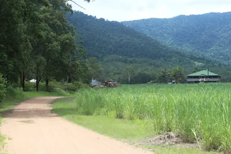 Sixth view of Homely rural property listing, 228 Seninis Road, Finch Hatton QLD 4756