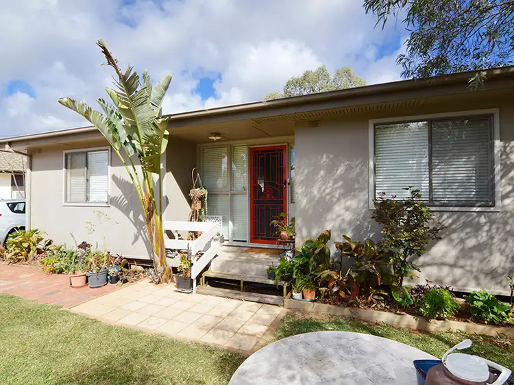 Main view of Homely house listing, 29 Matong Street, Dareton NSW 2717