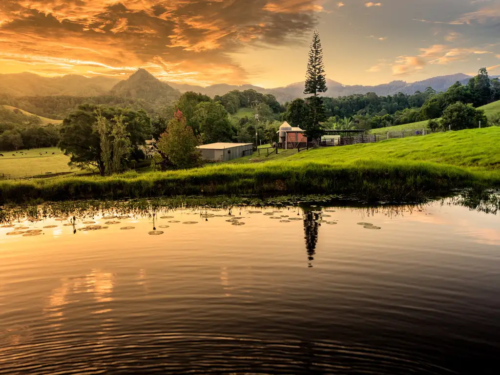 Main view of Homely rural property listing, 226 Mount Coxcombe Road, Upper Lansdowne NSW 2430