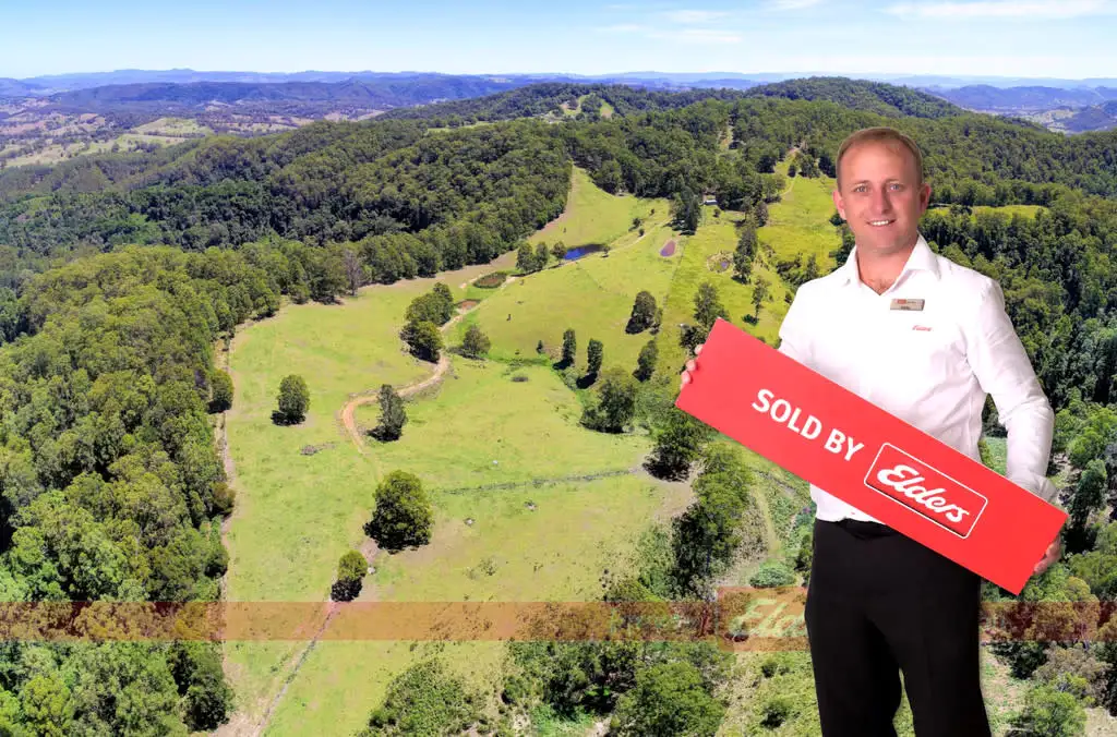 Main view of Homely rural property listing, 344 Dees Road, Belbora NSW 2422