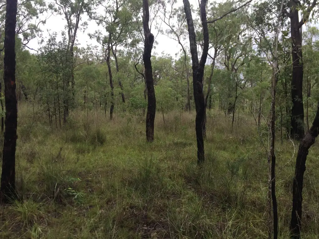 Main view of Homely land listing, Lot 37 BALDAW RD, Captain Creek QLD 4677