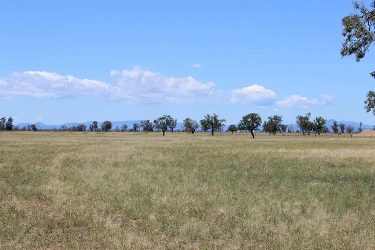Third view of Homely rural property listing, Raheen Coonamble, Baradine NSW 2396
