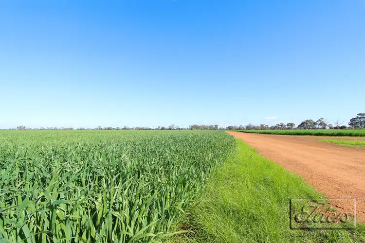 Sixth view of Homely rural property listing, 58 Fantasy Road, Bridgewater VIC 3516