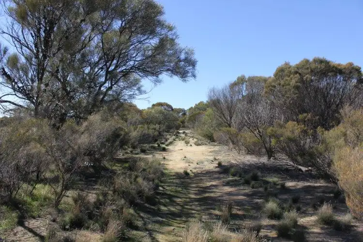 Fifth view of Homely land listing, Lot 1 Merredin - Narembeen Road, Merredin WA 6415