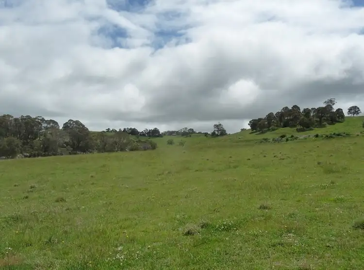 Sixth view of Homely rural property listing, 4175 PINKETT ROAD, Glen Innes NSW 2370
