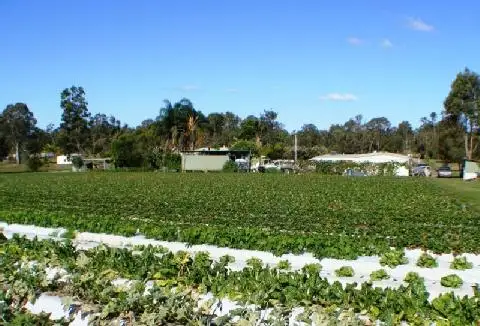 Third view of Homely house listing, 40 Hickey Road, Caboolture QLD 4510