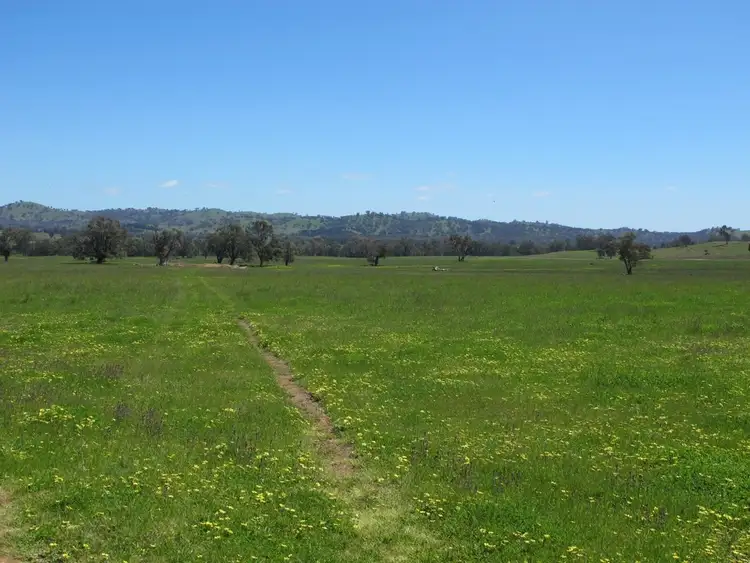 4078 Twelve Mile Road, Mudgee NSW 2850