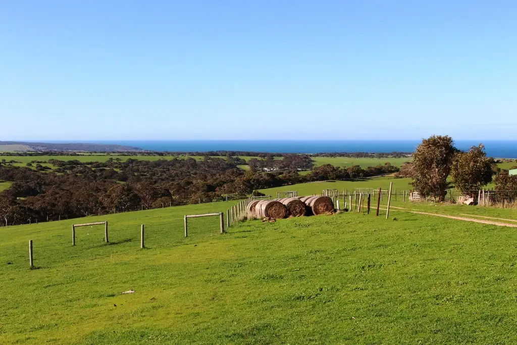 Main view of Homely rural property listing, 254 Mt. Scrub Rd, Waitpinga SA 5211