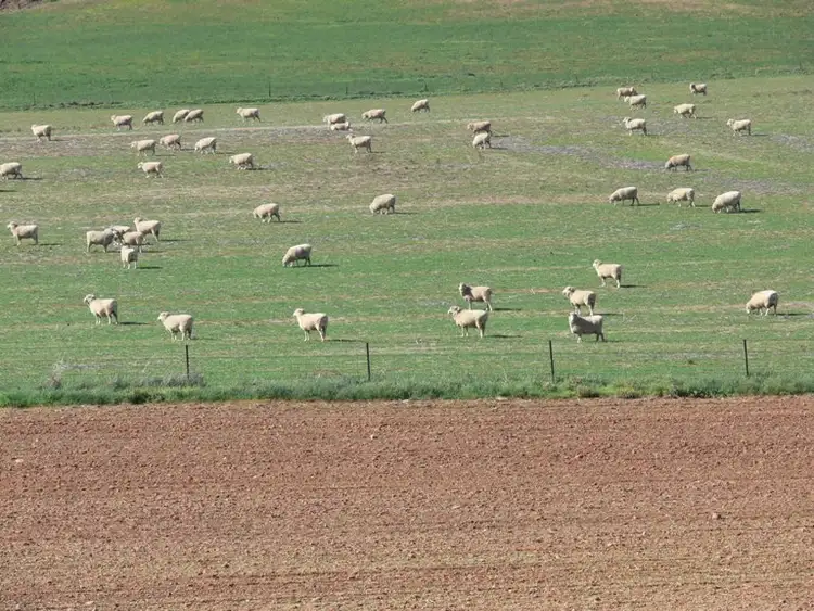Third view of Homely rural property listing, 506 Binni Creek Road, Cowra NSW 2794