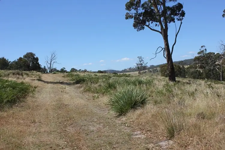 Fifth view of Homely house listing, 1054 Mud Walls Road, Colebrook TAS 7027