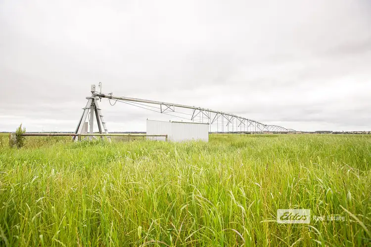 Main view of Homely rural property listing, LOT 592 BRAUNACKS ROAD, Naracoorte SA 5271