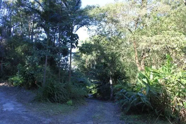 Main view of Homely land listing, 1 / 114 Maso Road, Rosebank NSW 2480