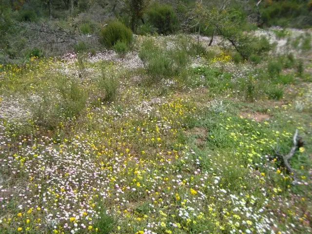 Sixth view of Homely land listing, Lot 72 Murphy Yetna Road, Nanson WA 6532