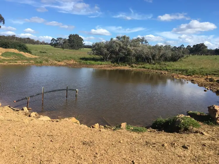 Fourth view of Homely rural property listing, 3988 Jalbarragup Road, Walsall WA 6280