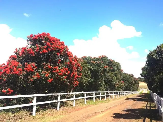 Third view of Homely rural property listing, 477/519 Banks Road, Marcus Hill VIC 3222