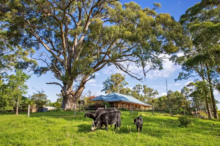 Fourth view of Homely rural property listing, 203 Evans Lane, Milton NSW 2538