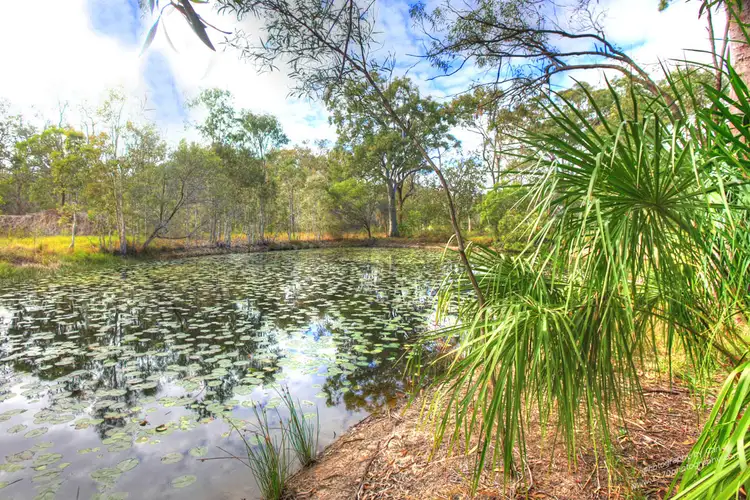 Sixth view of Homely rural property listing, 151 ALLINGHAM WAY, Agnes Water QLD 4677