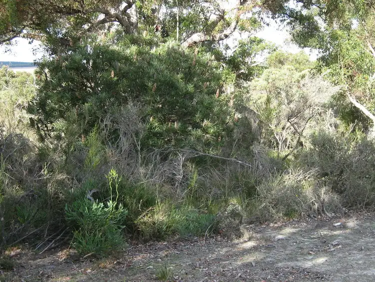 Fourth view of Homely rural property listing, Lot 51 Granite Hill Road, Napier WA 6330