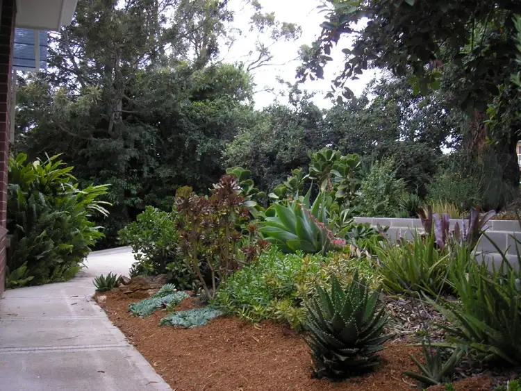 Third view of Homely house listing, 87 Lynjohn Drive, Bega NSW 2550