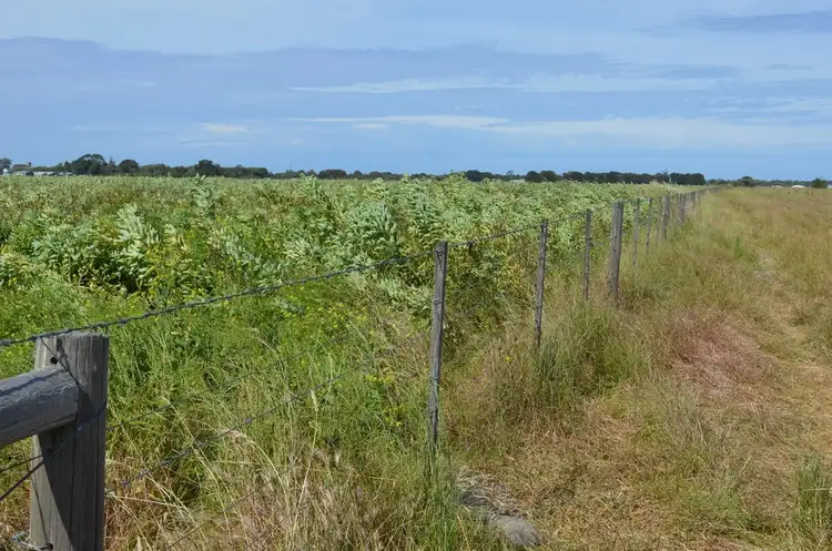 Seventh view of Homely rural property listing, 204 Majors Road, Millicent SA 5280