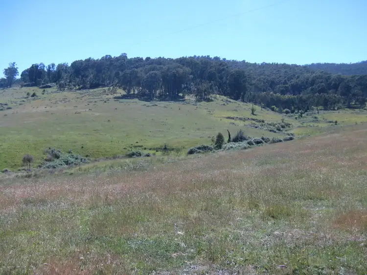 Third view of Homely rural property listing, 2920 Corryong Road, Benambra VIC 3900