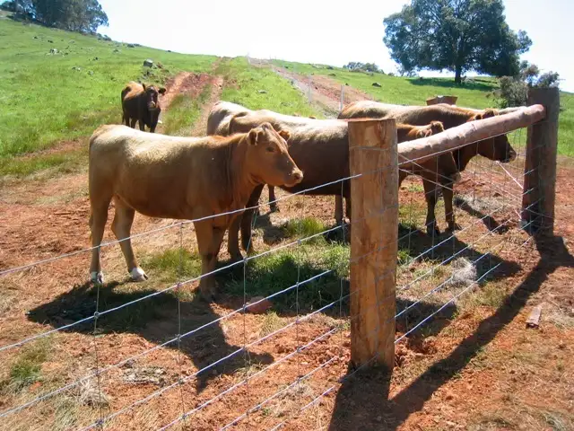 Third view of Homely land listing, 136 Valley View Drive, Chittering WA 6084