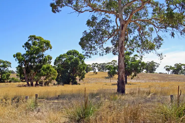 443 Hills Road, Padthaway SA 5271